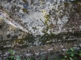 image of grave number 829518
